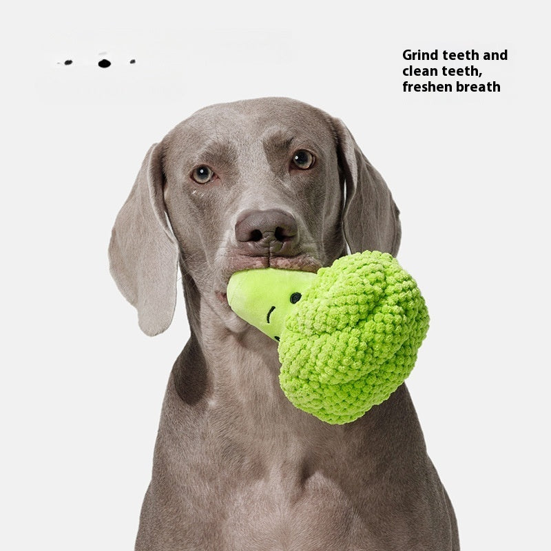 Plüsch-Brokkoli für Hunde – Kauspielzeug & Geräuschfunktion